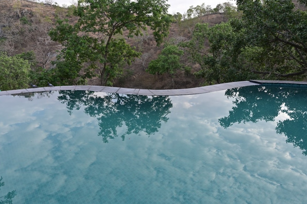 Infinity Pool Image 2