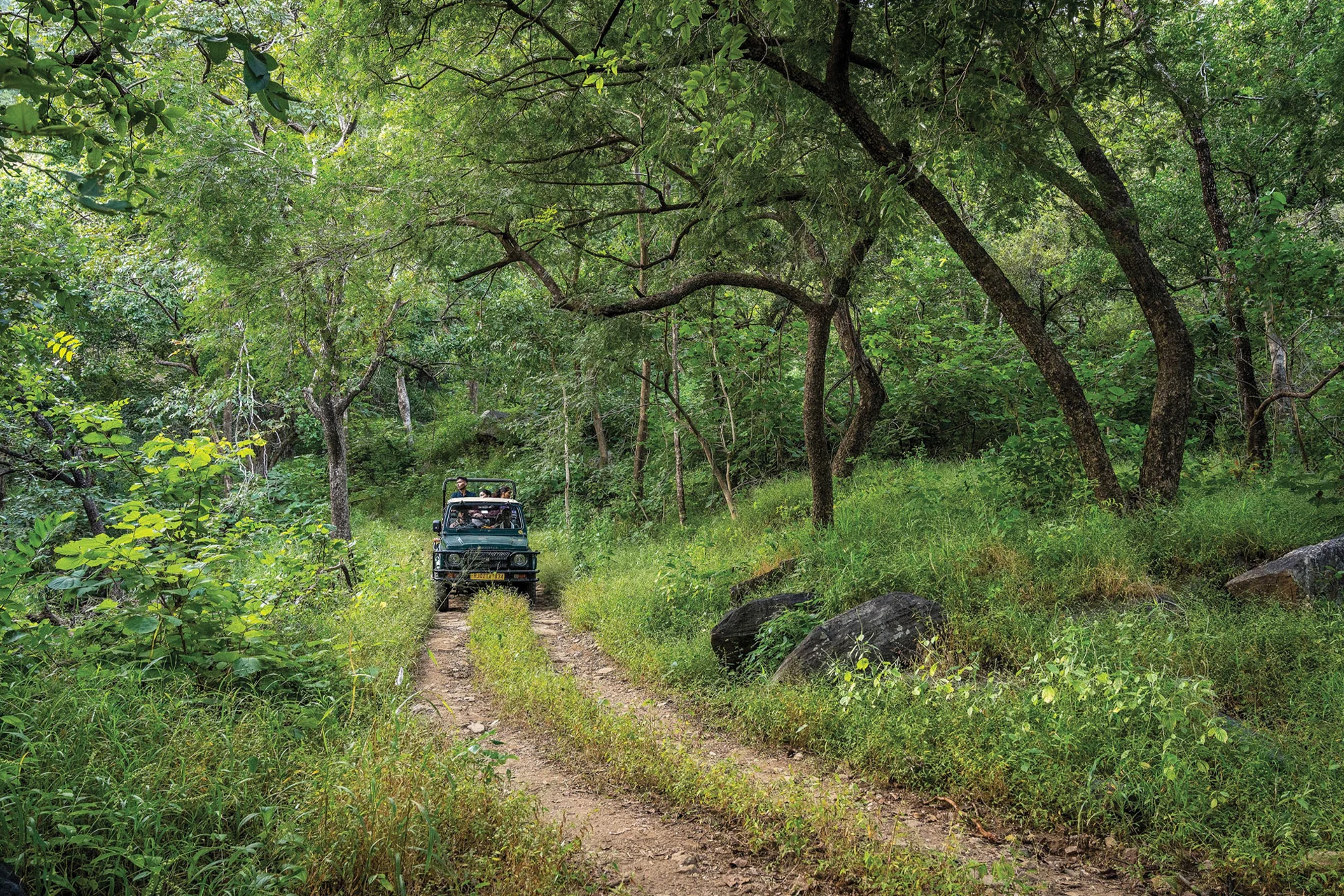 Kumbhalgarh Tourist Places Jungle Safari